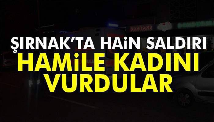 Şırnak'ta PKK'lıların saldırısında bir hamile kadın yaralandı
