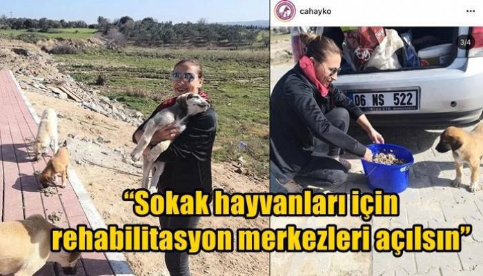 “HAYALİM ÇANAKKALE’DEKİ TÜM HAYVANSEVERLERİ BULUŞTURMAK”