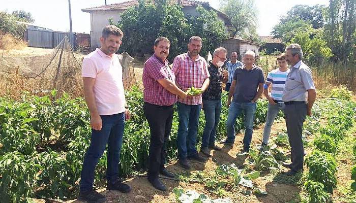 YERLİ TOHUM İLE BİBER ÜRETİMİ YAPAN ÇİFTÇİYE ZİYARET