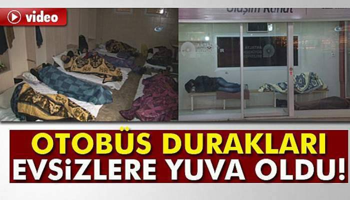  Otobüs durakları evsizlere yuva oldu