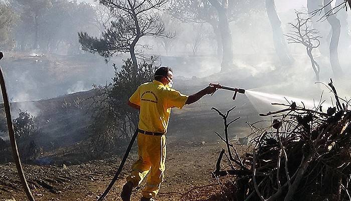 Tarım arazisinden çıkan yangın ormanı da yaktı (VİDEO)