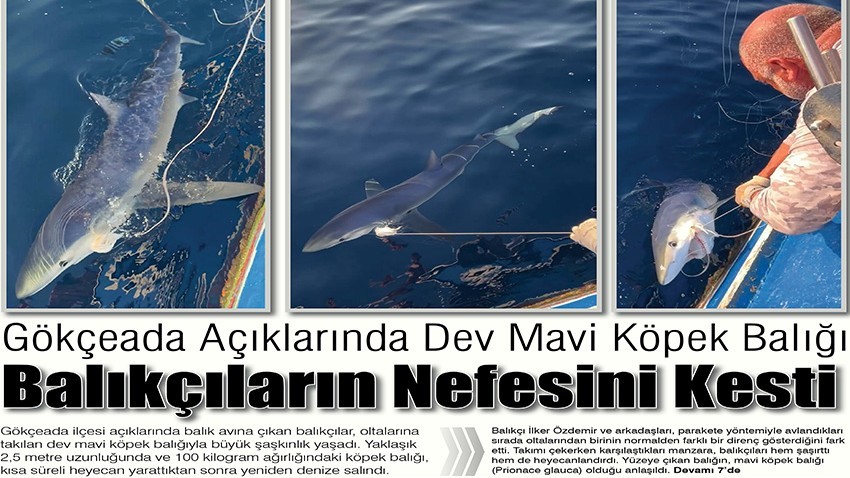 Balıkçıların Nefesini Kesti