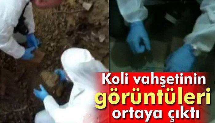 Koli vahşetinin görüntüleri ortaya çıktı
