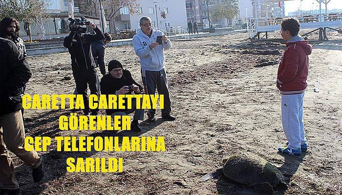 Caretta carettayı gören Çanakkaleliler cep telefonlarına sarıldı