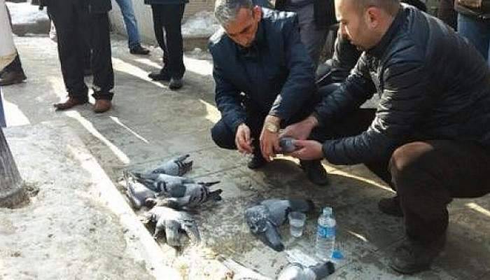 Bunu yapan insan olamaz!