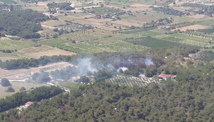 Çanakkale'de orman yangını