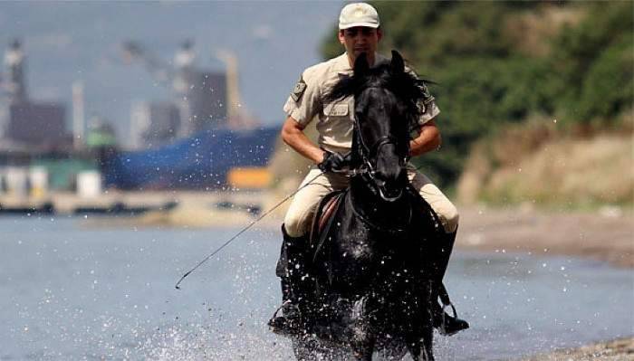 Cumhurbaşkanlığı Muhafız Alayı'nın atları denizde eğitiliyor