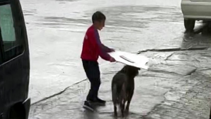 Küçük çocuktan yağmur altında insanlık dersi (VİDEO)