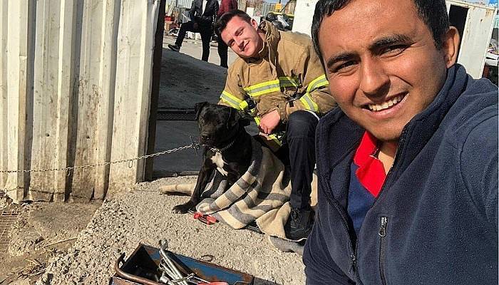 İtfaiye Ekipleri Ağzına Konserve Sıkışan Köpeği Kurtardı