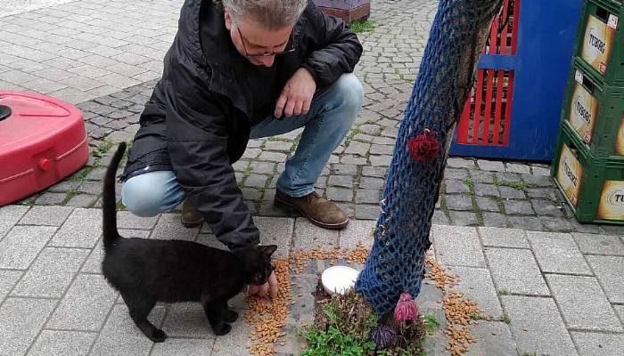 Hayvanlar İçin Sokaklara Yem Bırakıldı