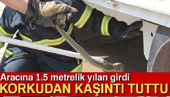 Aracına 1.5 metrelik yılan giren sürücüyü korkudan kaşıntı tuttu