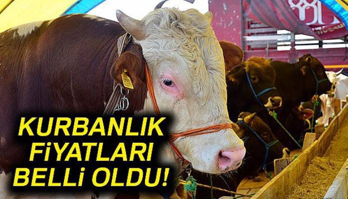 Kurbanlık fiyatları belirlendi