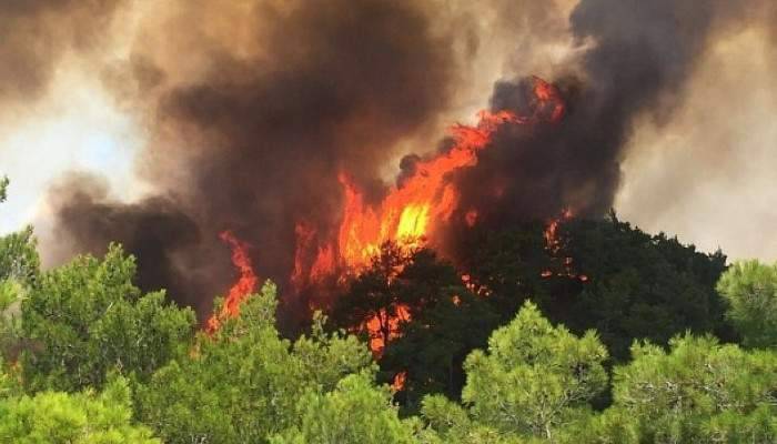 Manavgat'ta orman yangını: 1 yaralı
