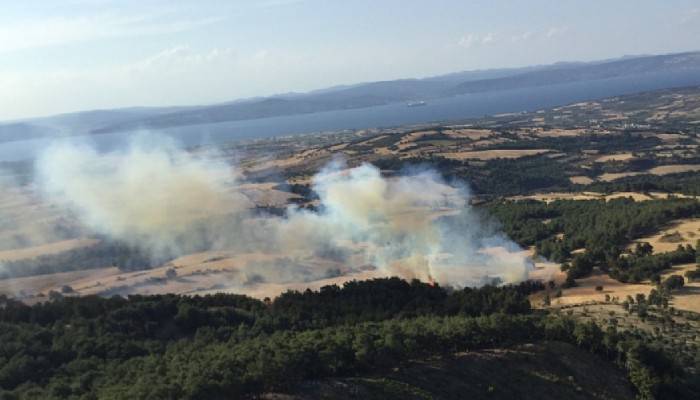 Çanakkale’de yangın!