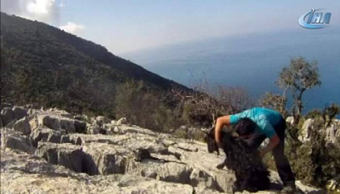  Kayalıklara sıkışan keçiyi doğa sporcusu kurtardı