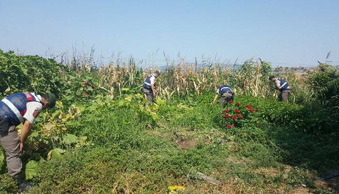 Çanakkale’de uyuşturucu operasyonu