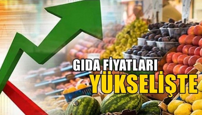 Gıda fiyatları yükselişte