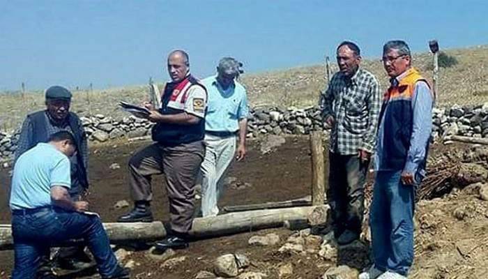 Tavanı çöken ahırda koyunlar telef oldu