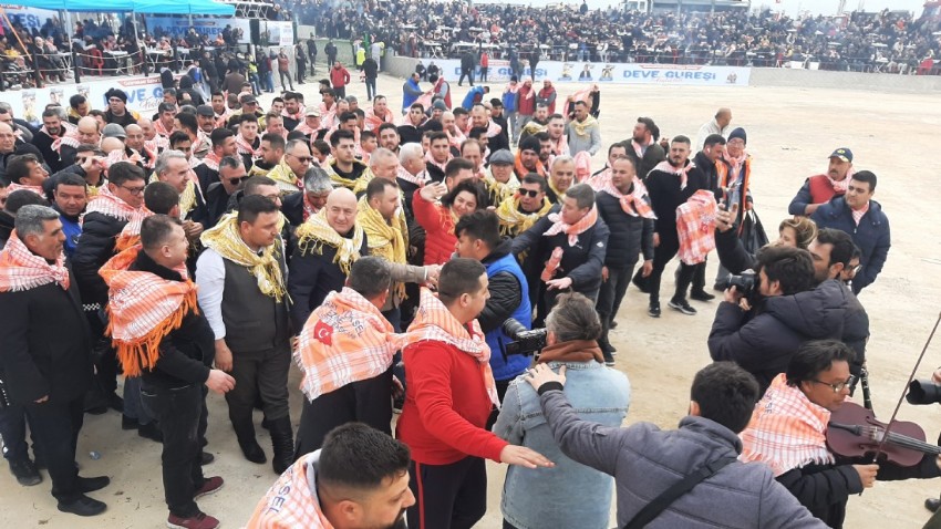 Hafta Sonunda Ezineli Yahya Çavuş Folklorik Deve Güreşleri Heyecanı Yaşandı