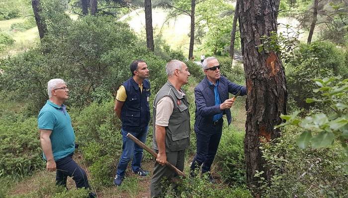 Ulusoy, çalışmaları yerinde denetledi