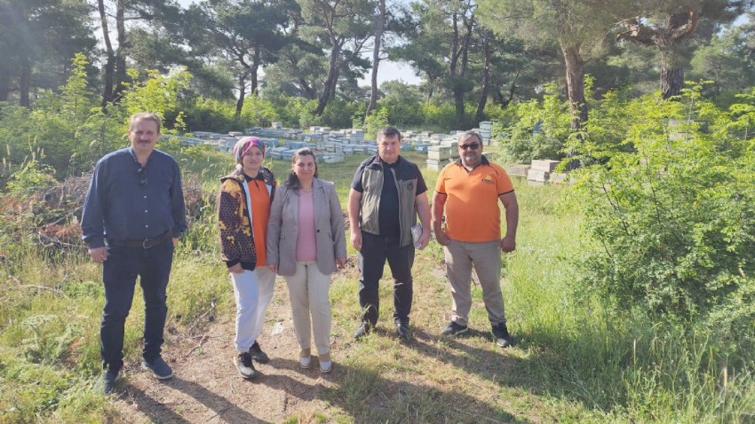 Ayvacık’ta Dünya Arı Günü Coşkuyla Kutlandı