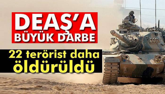  22 DEAŞ terör örgütü mensubu etkisiz hale getirildi