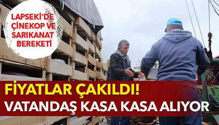 Fiyatlar çakıldı! Vatandaş kasa kasa alıyor