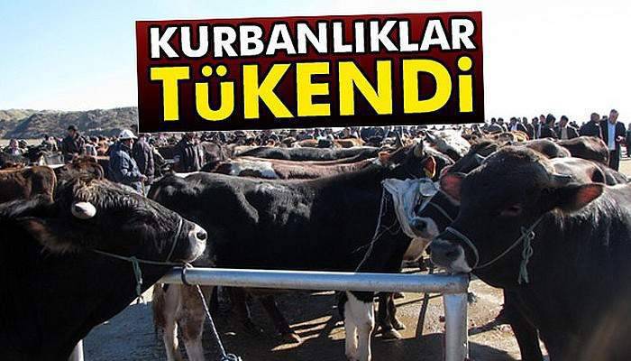 Kurbanlıklar tükendi