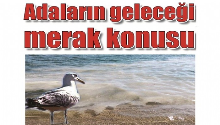 ’Müsilajı gören martılar bile şaşkına döndü’