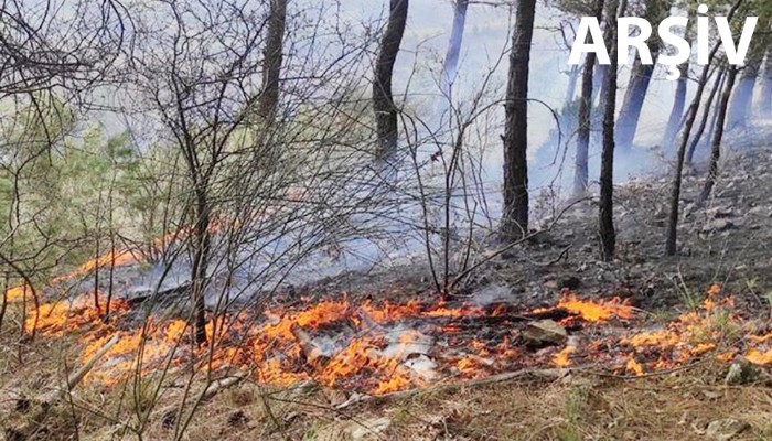Anında müdahale felaketi önledi 
