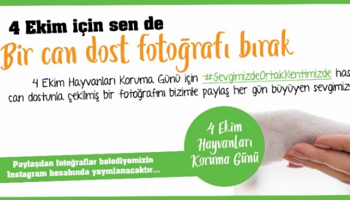 4 Ekim için sen de bir can dost fotoğrafı bırak