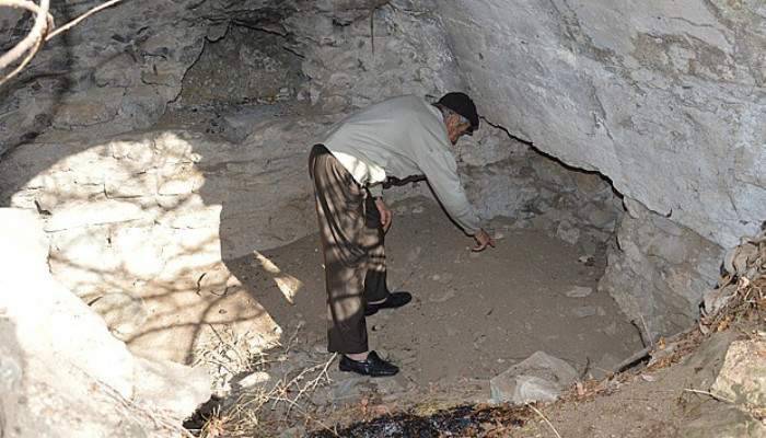 Mahalleliyi ayı korkusu sardı