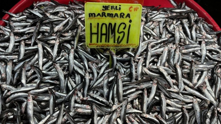 Marmara’da hava bozdu, balık fiyatları fırladı