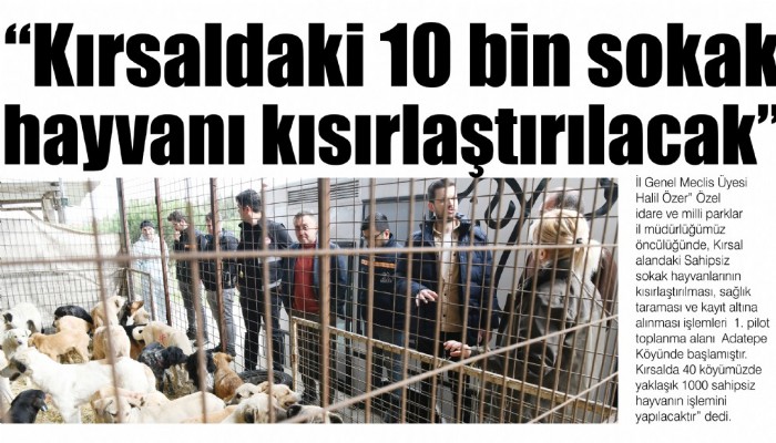 “Kırsaldaki 10 bin sokak hayvanı kısırlaştırılacak”