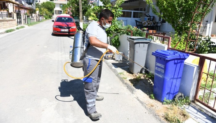 Sinek mücadelesi aralıksız sürüyor