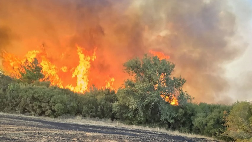 Bayramiç Orman İşletme Müdürlüğü’nden Yangın Riski Uyarısı