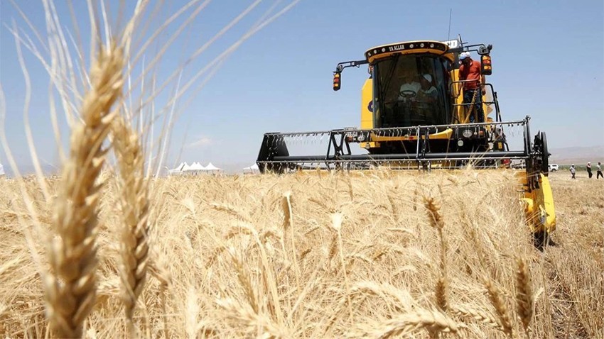 TMO 2025 Yılı Hububat Alım Fiyatlarını Açıkladı