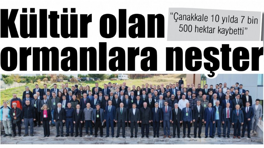 Kültür olan ormanlara neşter