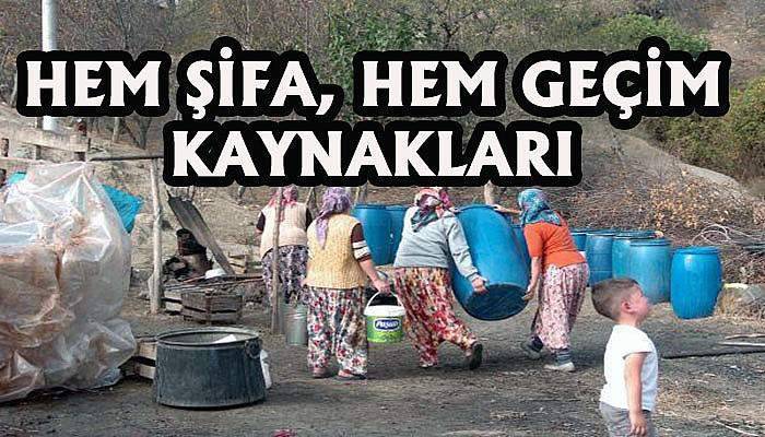 Pekmez Onların Hem Geçim Hem Şifa Kaynağı