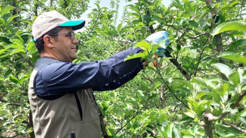 Çanakkale’de Elma Bahçeleri İçin Mücadele Başladı