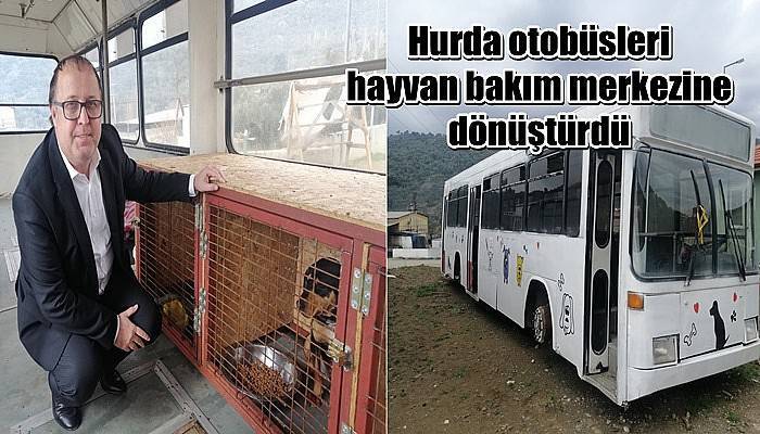 Belediye, hurda otobüsleri hayvan bakım merkezine dönüştürdü (VİDEO)