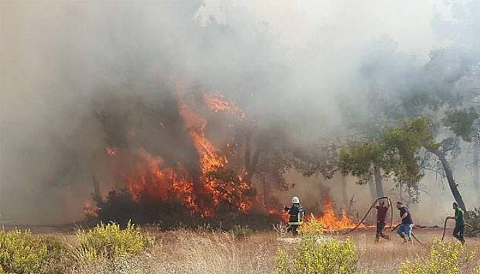 Manavgat’ta orman yangını