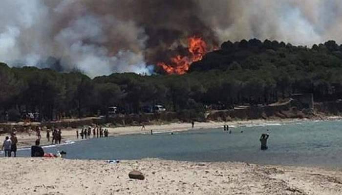 Çanakkale'de orman yangını