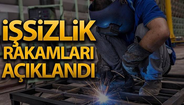 İşsizlik oranı 1,1 puan azaldı