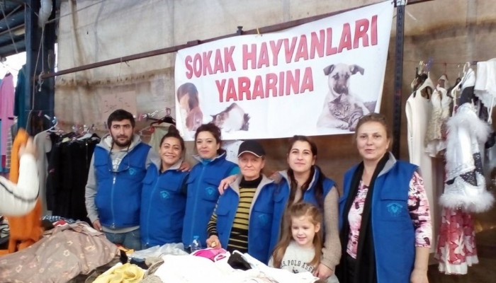 Her şey sokak hayvanlarına mama için