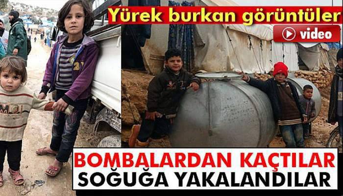 Yürek burkan görüntüler