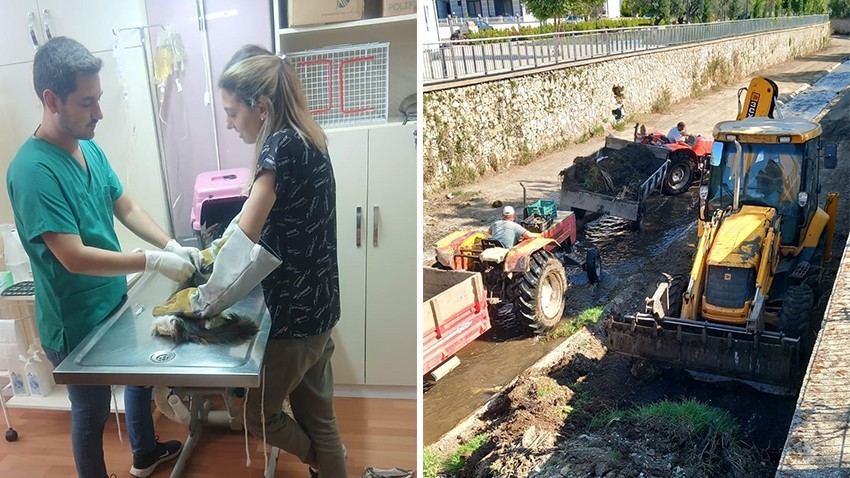 Küçükkuyu Yaz Sezonuna Hazırlanıyor