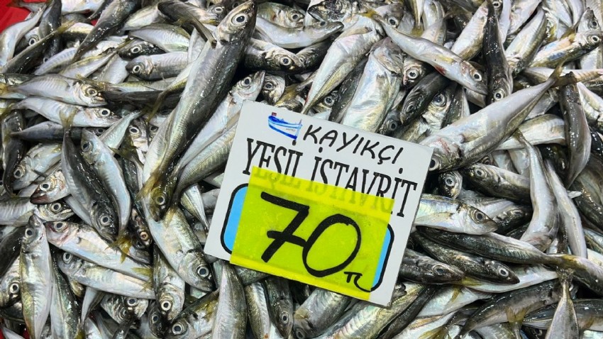 Balık Fiyatları İstikrarsız
