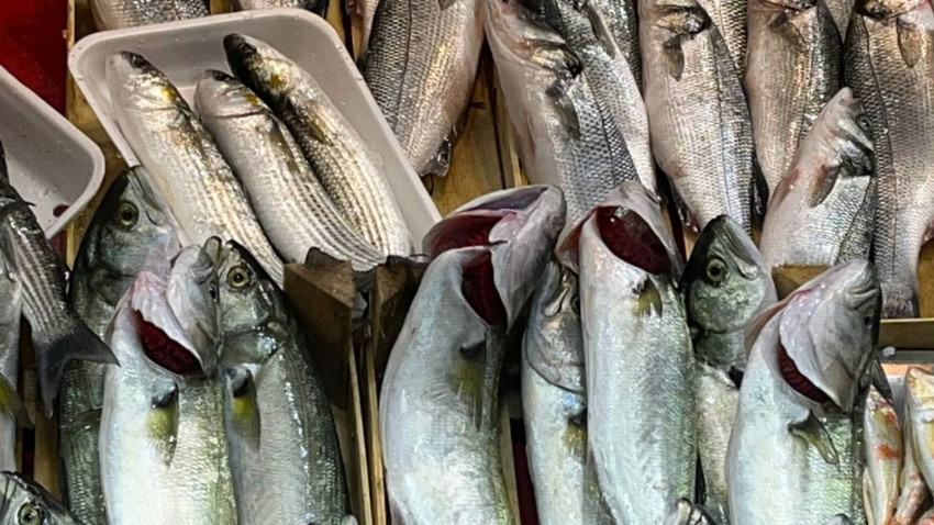 Çanakkale'de Günlerdir Balık Fiyatları Değişmiyor