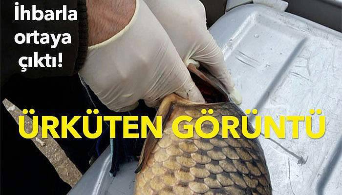 İhbarla ortaya çıktı!